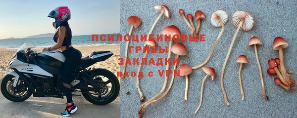 mdma Заводоуковск