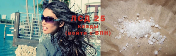 прущие грибы Костерёво