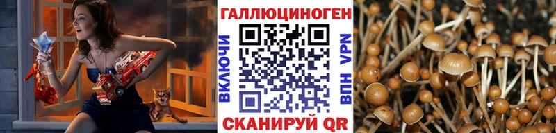 Галлюциногенные грибы мухоморы  Сосновый Бор 